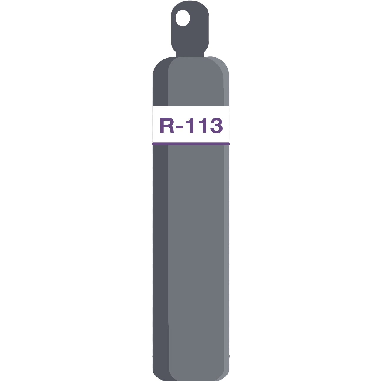 R-113